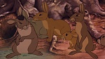 Watership Down picture