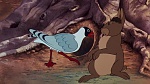 Watership Down picture