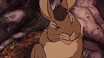 Watership Down picture