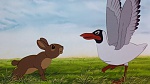 Watership Down picture