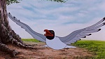 Watership Down picture