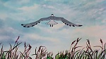 Watership Down picture