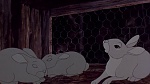 Watership Down picture