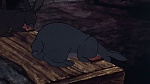 Watership Down picture