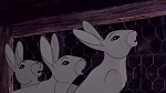 Watership Down picture