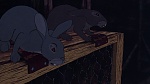 Watership Down picture