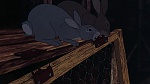 Watership Down picture
