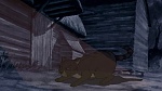 Watership Down picture
