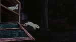 Watership Down picture