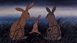 Watership Down picture