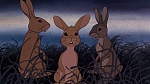 Watership Down picture