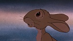 Watership Down picture