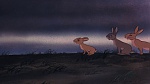 Watership Down picture