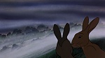 Watership Down picture