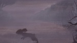 Watership Down picture