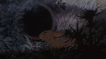Watership Down picture