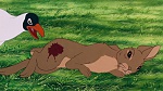 Watership Down picture