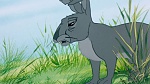 Watership Down picture