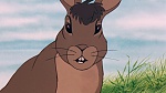 Watership Down picture