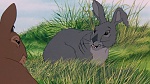 Watership Down picture