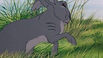 Watership Down picture