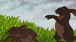 Watership Down picture