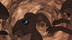 Watership Down picture