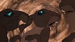 Watership Down picture
