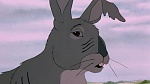Watership Down picture