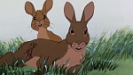 Watership Down picture