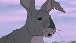 Watership Down picture