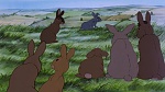 Watership Down picture