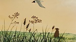 Watership Down picture