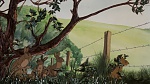 Watership Down picture