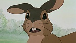 Watership Down picture