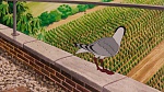 Watership Down picture