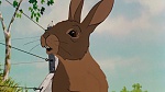 Watership Down picture