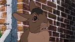 Watership Down picture