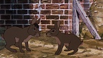 Watership Down picture