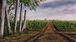 Watership Down picture