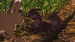 Watership Down picture