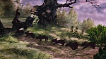 Watership Down picture