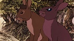 Watership Down picture