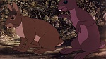Watership Down picture