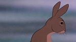 Watership Down picture