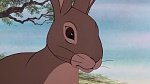 Watership Down picture