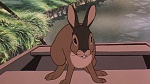 Watership Down picture