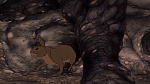 Watership Down picture
