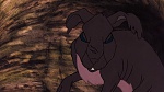 Watership Down picture