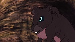 Watership Down picture